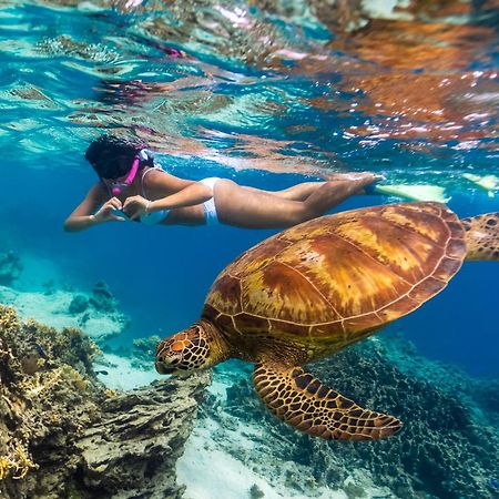 Sanctuary Rarotonga On The Beach (Adults Only) מראה חיצוני תמונה