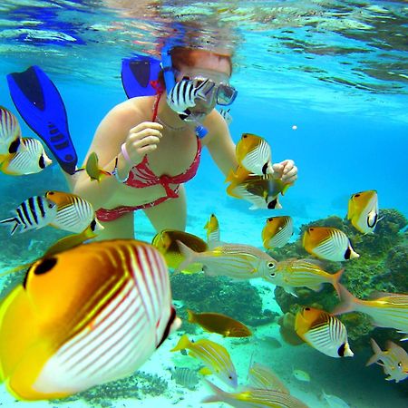 Sanctuary Rarotonga On The Beach (Adults Only) מראה חיצוני תמונה