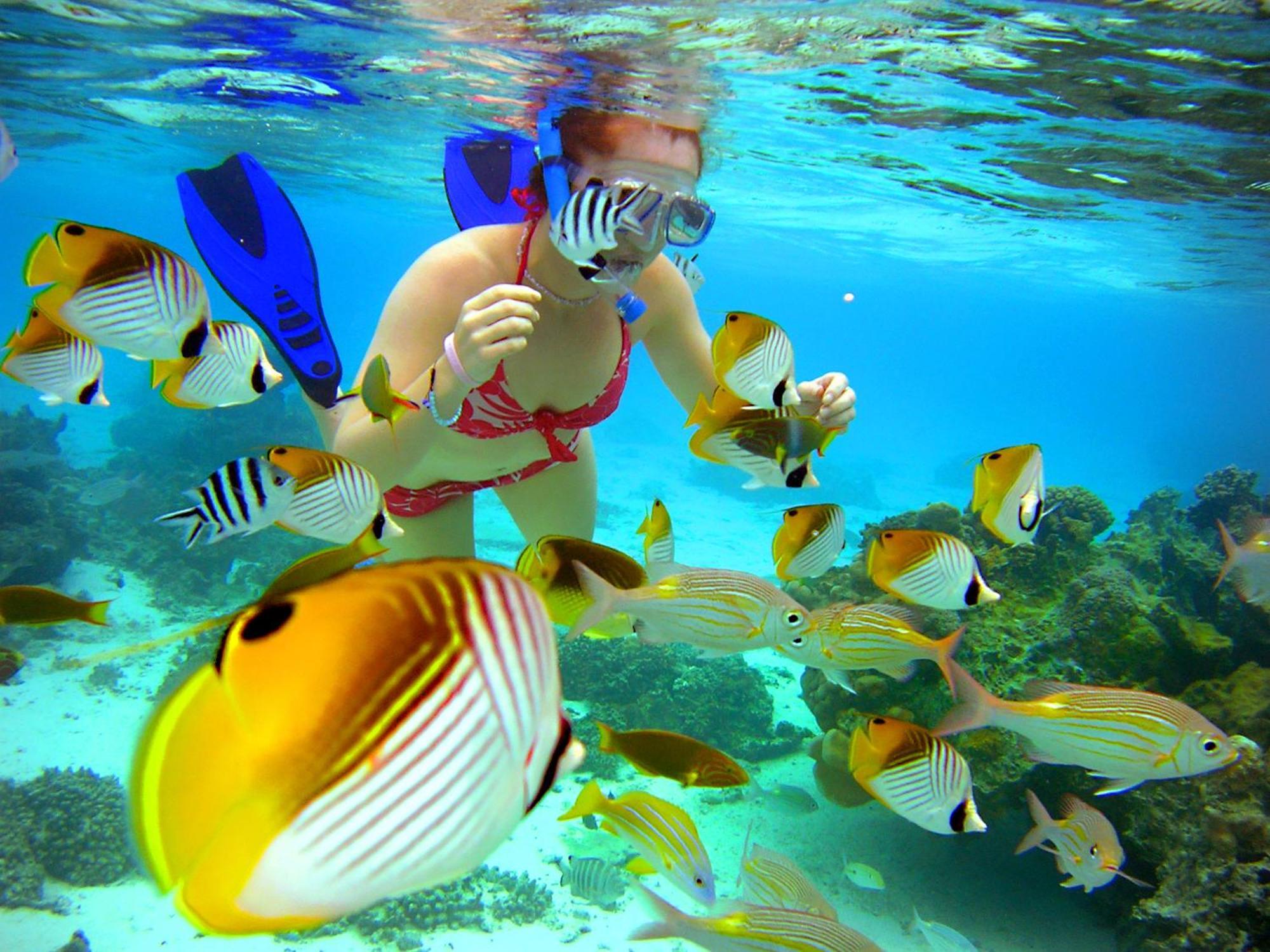 Sanctuary Rarotonga On The Beach (Adults Only) מראה חיצוני תמונה